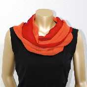 SRC29_loop